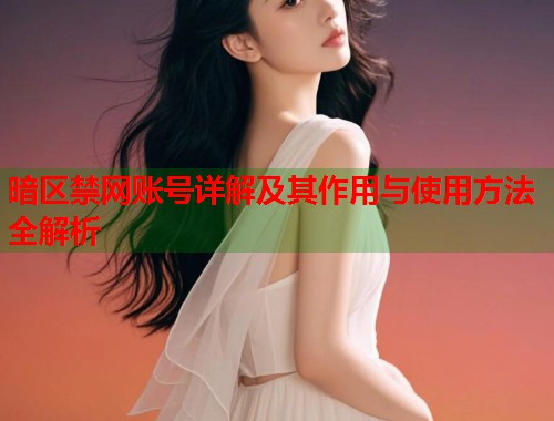 暗区禁网账号详解及其作用与使用方法全解析  第1张