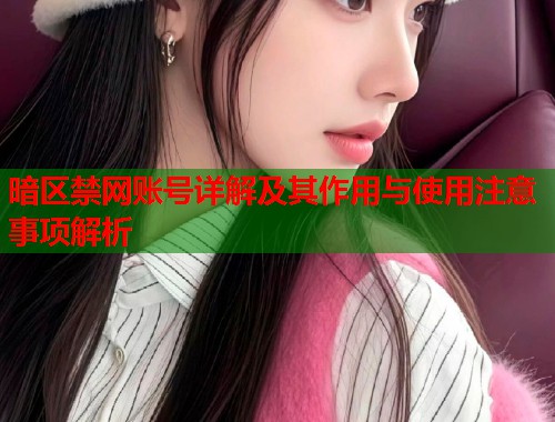 暗区禁网账号详解及其作用与使用注意事项解析  第1张