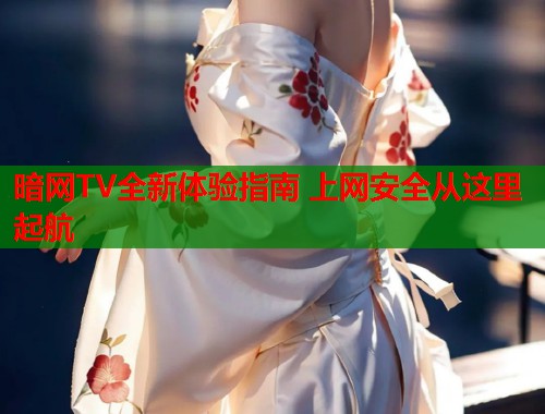 暗网TV全新体验指南 上网安全从这里起航  第1张