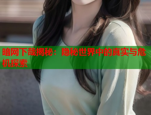 暗网下哉揭秘：隐秘世界中的真实与危机探索  第1张