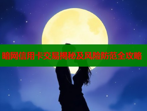 暗网信用卡交易揭秘及风险防范全攻略  第1张