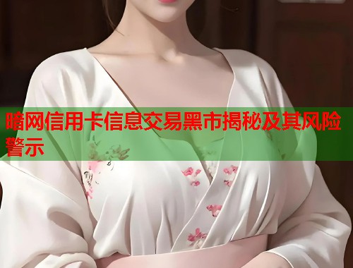 暗网信用卡信息交易黑市揭秘及其风险警示  第1张