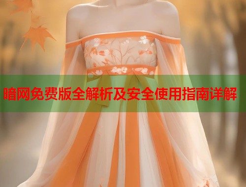 暗网免费版全解析及安全使用指南详解  第1张