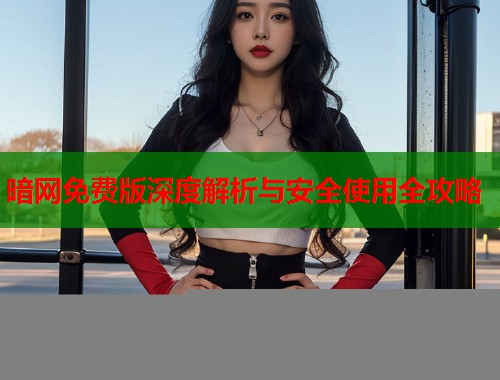 暗网免费版深度解析与安全使用全攻略  第1张