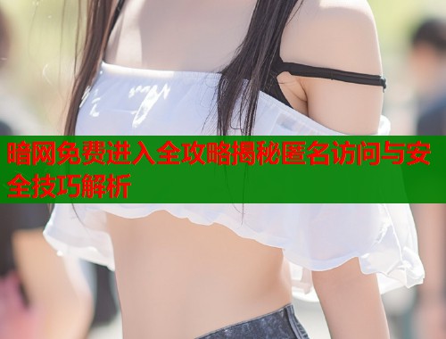 暗网免费进入全攻略揭秘匿名访问与安全技巧解析  第1张
