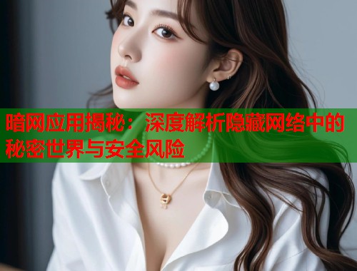 暗网应用揭秘：深度解析隐藏网络中的秘密世界与安全风险  第2张