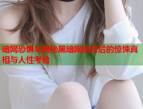 暗网恐惧鸟揭秘黑暗网络背后的惊悚真相与人性考验  第2张