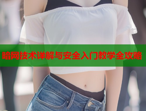 暗网技术详解与安全入门教学全攻略  第1张