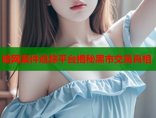 暗网案件追踪平台揭秘黑市交易真相  第1张