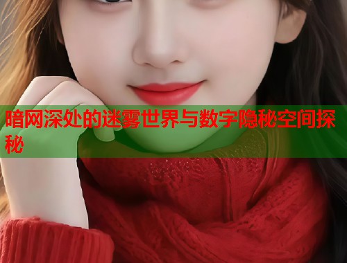 暗网深处的迷雾世界与数字隐秘空间探秘  第1张