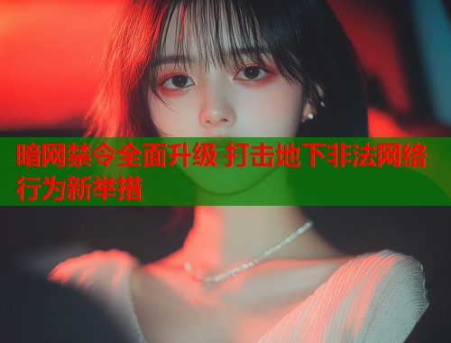 暗网禁令全面升级 打击地下非法网络行为新举措  第1张