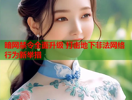 暗网禁令全面升级 打击地下非法网络行为新举措  第2张