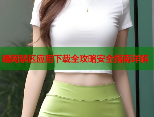 暗网禁区应用下载全攻略安全指南详解  第1张