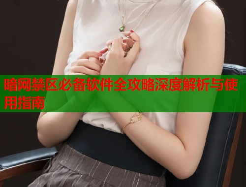 暗网禁区必备软件全攻略深度解析与使用指南  第1张
