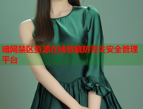 暗网禁区资源在线收藏防丢失安全管理平台  第1张