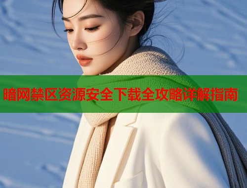 暗网禁区资源安全下载全攻略详解指南  第2张