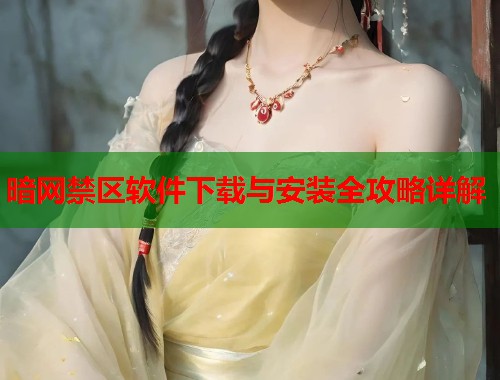 暗网禁区软件下载与安装全攻略详解  第1张