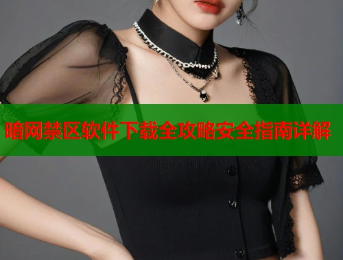 暗网禁区软件下载全攻略安全指南详解  第1张