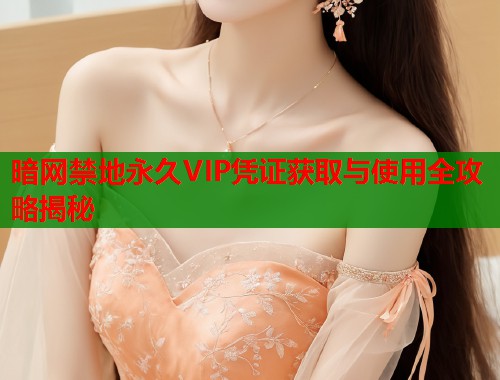 暗网禁地永久VIP凭证获取与使用全攻略揭秘  第2张