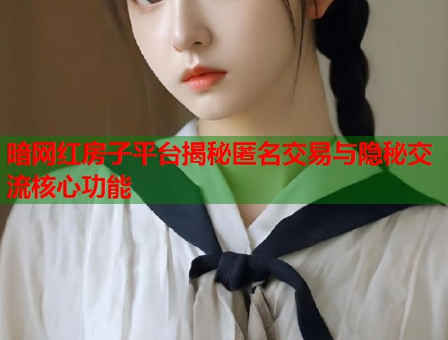 暗网红房子平台揭秘匿名交易与隐秘交流核心功能  第1张