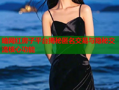 暗网红房子平台揭秘匿名交易与隐秘交流核心功能  第2张