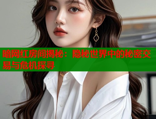 暗网红房间揭秘：隐秘世界中的秘密交易与危机探寻  第1张