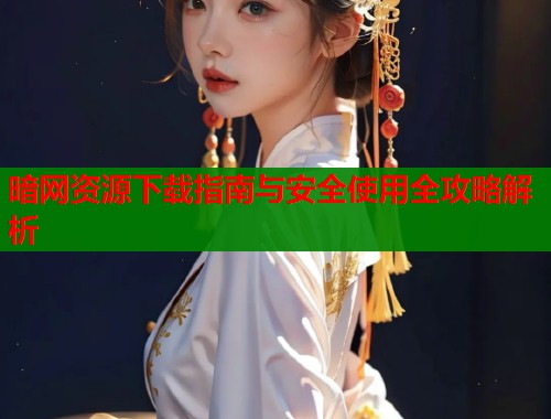 暗网资源下载指南与安全使用全攻略解析  第1张