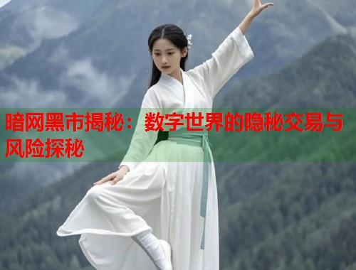 暗网黑市揭秘：数字世界的隐秘交易与风险探秘  第1张