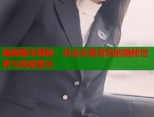 暗网黑市揭秘：非法交易背后的隐秘世界与风险警示  第2张