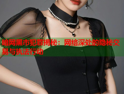 暗网黑市犯罪揭秘：网络深处的隐秘交易与执法行动  第1张