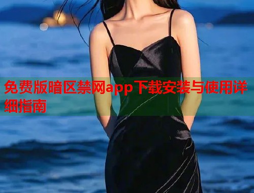 免费版暗区禁网app下载安装与使用详细指南  第1张