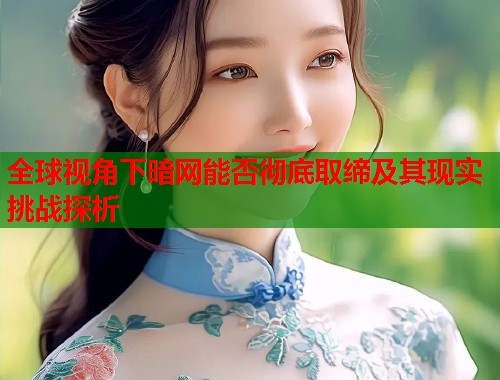 全球视角下暗网能否彻底取缔及其现实挑战探析  第2张