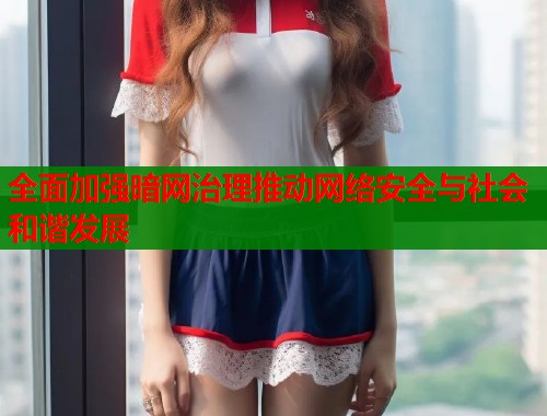 全面加强暗网治理推动网络安全与社会和谐发展  第1张