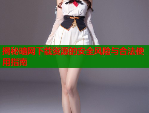 揭秘暗网下载资源的安全风险与合法使用指南  第1张