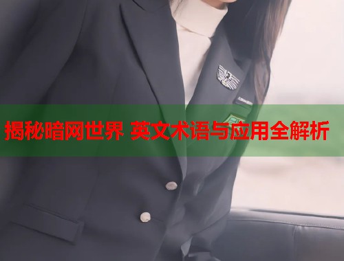 揭秘暗网世界 英文术语与应用全解析  第2张