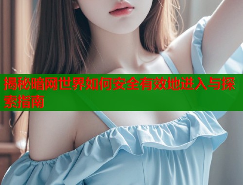 揭秘暗网世界如何安全有效地进入与探索指南  第1张