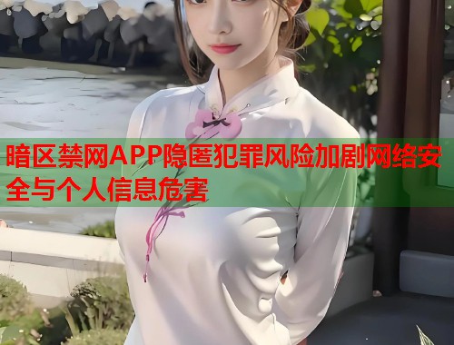 暗区禁网APP隐匿犯罪风险加剧网络安全与个人信息危害  第1张