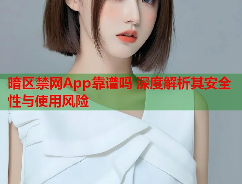 暗区禁网App靠谱吗 深度解析其安全性与使用风险  第1张