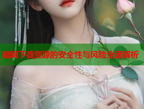 暗网下载资源的安全性与风险全面解析  第1张