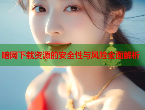 暗网下载资源的安全性与风险全面解析  第2张
