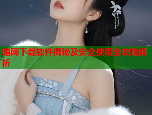 暗网下载软件揭秘及安全使用全攻略解析  第1张