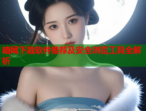 暗网下载软件推荐及安全浏览工具全解析  第2张