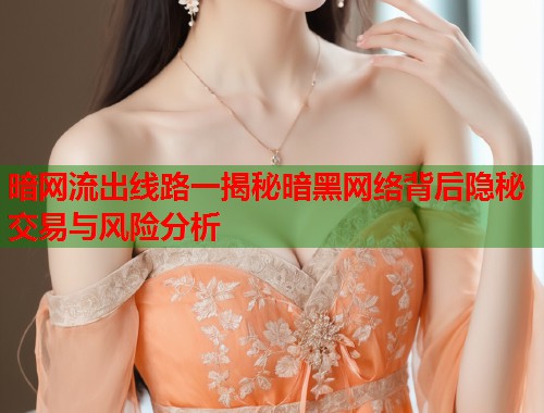 暗网流出线路一揭秘暗黑网络背后隐秘交易与风险分析  第2张