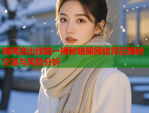 暗网流出线路一揭秘暗黑网络背后隐秘交易与风险分析  第1张