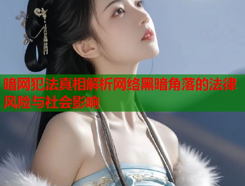 暗网犯法真相解析网络黑暗角落的法律风险与社会影响  第1张