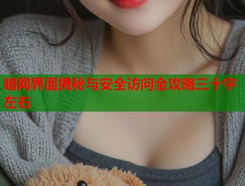 暗网界面揭秘与安全访问全攻略三十字左右  第1张
