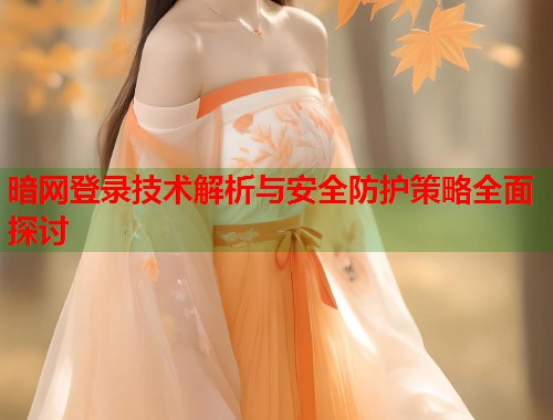 暗网登录技术解析与安全防护策略全面探讨  第1张