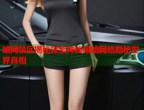 暗网禁区揭秘探索神秘黑暗网络隐秘世界真相  第1张