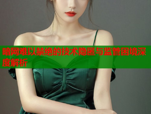暗网难以禁绝的技术隐匿与监管困境深度解析  第1张