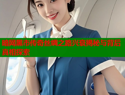 暗网黑市传奇丝绸之路兴衰揭秘与背后真相探索  第1张